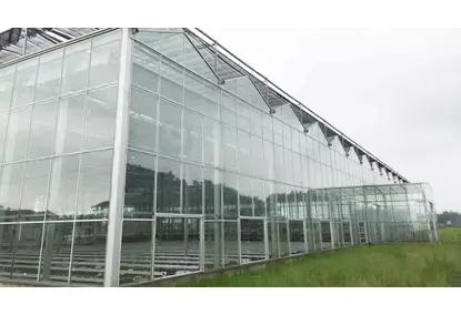 Теплицы по технологии VENLO Теплицы по технологии VENLO