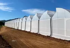 Многопролётная теплица с гидропоникой
