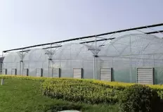 Мини политуннельная теплица для выращивания овощей
