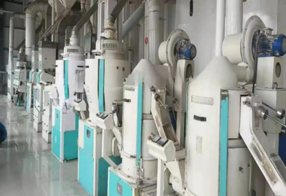 Оборудование для переработки риса 100TPD Оборудование для переработки риса 100TPD